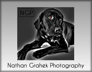 NGP